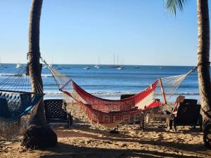 una hamaca en una playa con palmeras y el océano en Hotel La Palapa, en Tamarindo