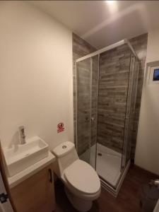 ein Badezimmer mit Dusche, Toilette und Waschbecken in der Unterkunft Cabañas Campestres Altos de Leñadura Punta Arenas in Punta Arenas + 9 Fotos