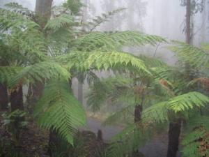Un paisaje natural cerca of the bed and breakfast