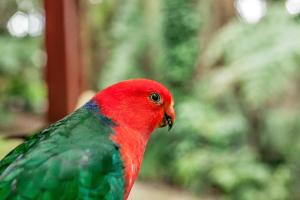 Animales en el bed and breakfast o alrededores