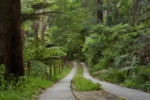 Un paisaje natural cerca of the bed and breakfast