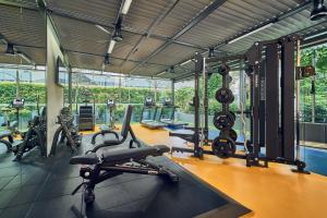 un gimnasio con cintas de correr y equipo cardiovascular en un edificio en Holiday Inn Express Singapore Orchard Road, an IHG Hotel en Singapur