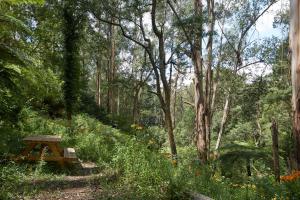 Un jardín fuera de The Fernglen Forest Retreat