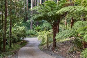 Un paisaje natural cerca of the bed and breakfast