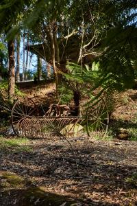 Un paisaje natural cerca of the bed and breakfast