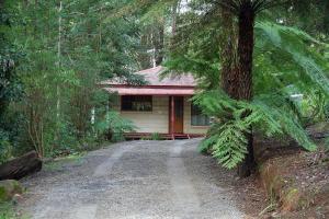 a house in the middle of a dirt road at The Fernglen Forest Retreat in Mount Dandenong