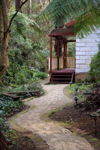 Un jardín fuera de The Fernglen Forest Retreat