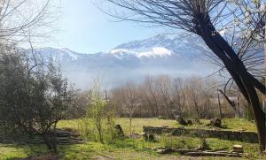 een met sneeuw bedekte berg in een veld met bomen bij Hostel,Dormis y Camping Costa Bolsón in El Bolsón +15 foto's