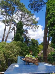 una panchina con una pianta in cima a un tavolo di Casa en plata alta en el Bosque. a Mar del Plata