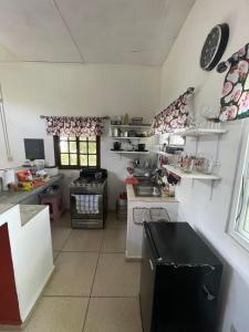 Kuchnia lub aneks kuchenny w obiekcie Eucalyptus Cabin Boquete