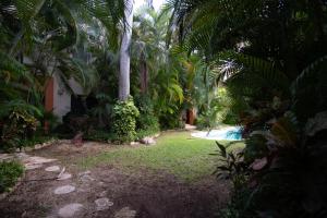 un jardín con palmeras y una tabla de surf en el césped en Casa Serena en Cancún