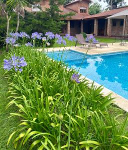 a swimming pool with purple flowers next to a house at Casa Quinta en Gonnet in Manuel B. Gonnet