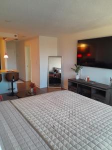 1 dormitorio con 1 cama grande y espejo en Luxury Fully Furnished Studio Condo en Atlanta