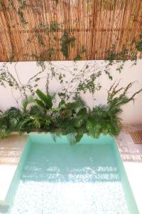a pool of water with plants on a wall at Akbal Tulum in Tulum
