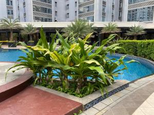 a plant in front of a swimming pool in a building at Woodland Elegance Retreat Symphony of Artistry with Blazing fast 300 Mbps in Manila