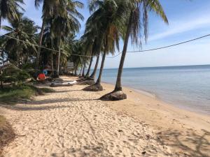 uma fileira de palmeiras numa praia arenosa em ‘The Greenhouse’ Nesat Village em Phumĭ Chroŭy Svay