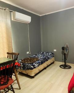a bedroom with a bed and a fan and a table at HOSPEDAJE LA NORMA in Paso de los Libres