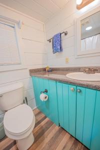 a bathroom with a toilet and a sink at Sophie Cabin National Forest Tiny Cabin in Chattanooga