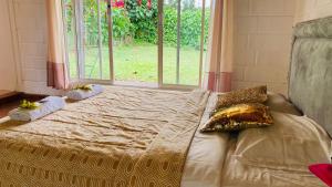 Bett in einem Zimmer mit einem großen Fenster in der Unterkunft CASA ENTERA HERMOSA in Puyo