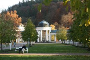 Gallery image of Hotel Na Vodách in Mariánské Lázně