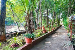 une rangée de plantes en pot dans un jardin dans l'établissement FabHotel Prime Vishwakirti Agri, à Ahmadnagar