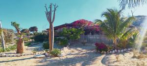 una casa sulla spiaggia con palme e fiori di Villa Nature a Toliara