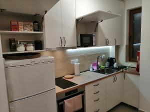 Kuhinja ili čajna kuhinja u objektu Aries apartman Divčibare