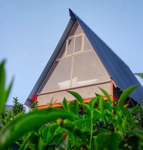 Κήπος έξω από το Glass camping