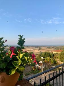 a pot of flowers on a balcony with a view at Casa Cerboneschi in Casale Marittimo