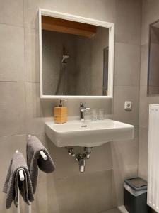 a bathroom with a white sink and a mirror at Sonnenblumenhof in Mühlheim