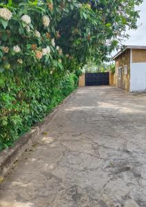 une route vide avec un arbre et un bâtiment dans l'établissement JoysVilla Family Holiday Home, à Malindi