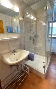 a bathroom with a sink and a shower at Alte Schmiede in Leutasch