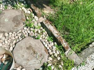 ogród z kamieniami i roślinami na ziemi w obiekcie Kluwih House w mieście Godean
