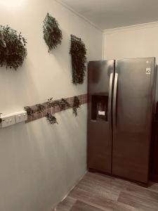 YnY Guest house في Waterford: مطبخ مع ثلاجة حديد غير قابل للصدأ والنباتات على الحائط