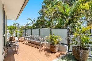 a balcony with a bench and palm trees at Franche Brise a la Mer in Byron Bay