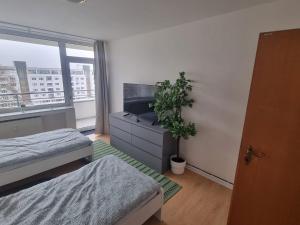 Habitación con 2 camas, TV y planta en Apartment with Balcony in Mönchengladbach, en Mönchengladbach