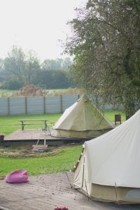 Vonkajšia záhrada v ubytovaní BELLTENT SAVICA