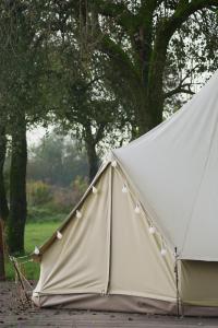 Fotografia z galérie ubytovania BELLTENT SAVICA v Záhrebe
