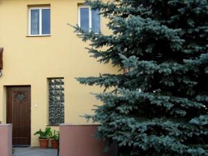 a christmas tree in front of a house at Apartamenty Stajni Jazon Malbork in Malbork