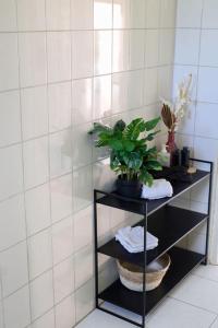תמונה מהגלריה של Villa Yolisa בDorp Sint Michiel