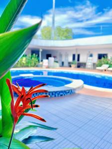 uma flor vermelha sentada ao lado de uma piscina em Khách sạn Khang Điền 2 em Xóm Phước Mỹ