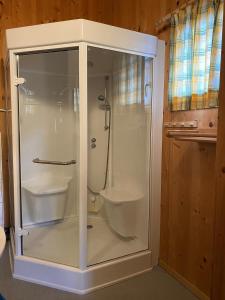 ein Badezimmer mit einer Dusche und einem WC in einem Glasschrank in der Unterkunft Feriendorf Tauerngast in Hohentauern