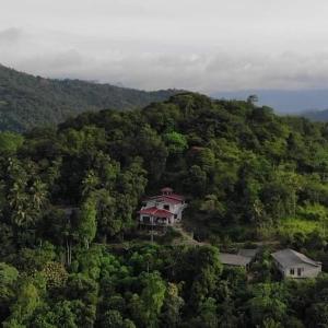 a house on top of a hill with trees at Hansa Villa in Kandy