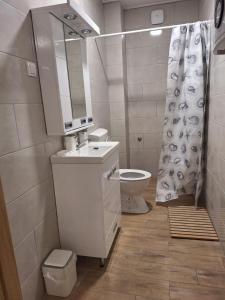 a bathroom with a sink and a toilet and a mirror at Expo Airport otel in Surčin +9 photos