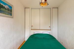 a small bedroom with a green bed in it at Chez Misha - Appt pour 4 vue montagne in Luchon