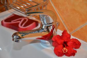 ein Waschbecken mit einem Wasserhahn und einer roten Blume in der Unterkunft Angel's Apartment in Karlsbad + 20 Fotos