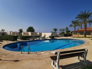 a large swimming pool with a bench and palm trees at Serenity Corner in Paphos