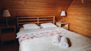 Posteľ alebo postele v izbe v ubytovaní Mountain Cottage Lubomierz