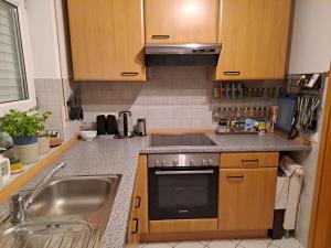 Kuchyň nebo kuchyňský kout v ubytování Schöne helle Wohnung nähe Parkanlage