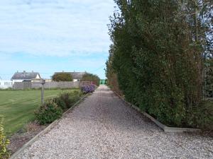 um caminho de jardim com uma grande sebe em gite repos et tranquillité G em Cayeux-sur-Mer